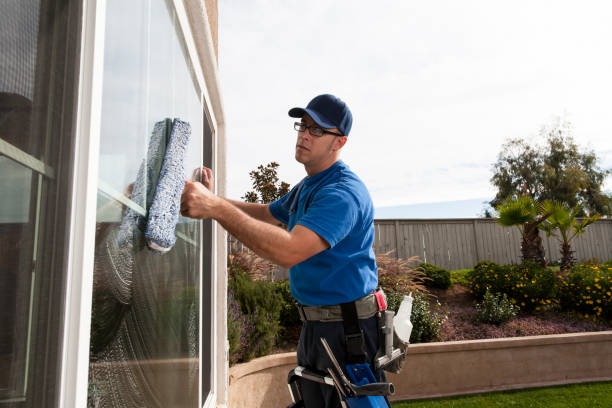 Professional Residential Window Cleaning for Modern Homes